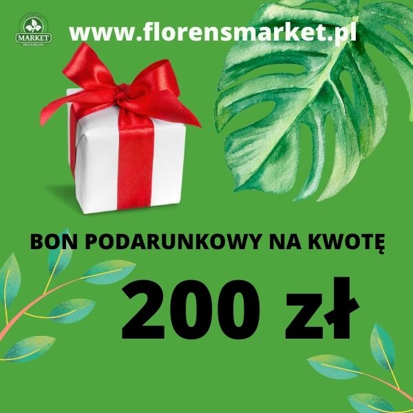 BON PODARUNKOWY O WARTOŚCI 200 zł (wysyłka bonu gratis)