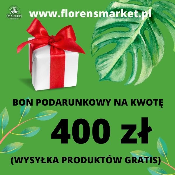 BON PODARUNKOWY PREMIUM o wartości 400 zł (wysyłka bonu gratis)